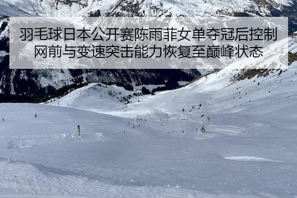 yu-mao-qiu-ri-ben-gong-kai-sai-chen-yu-fei-nv-dan-duo-guan-hou-kong-zhi-wang-qian-yu-bian-su-tu-ji-neng-li-hui-fu-zhi-2-734.jpg