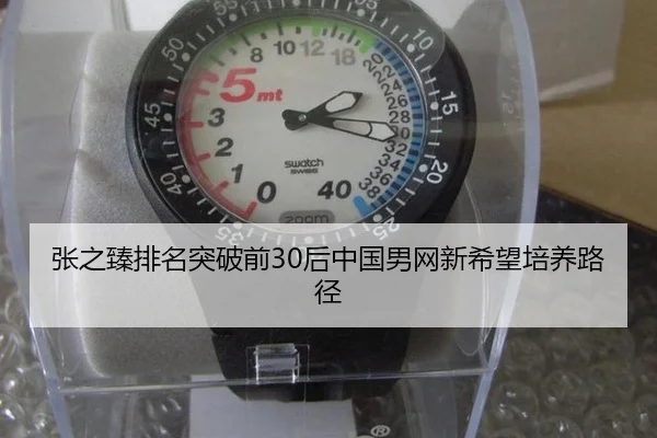 张之臻排名突破前30后中国男网新希望培养路径